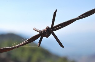El óxido del alambre Míralo. Ahí esta, el alambre espinado, cumpliendo su función disuasoria. Oxidado por el paso del tiempo, envejecido por no ejercer. Su trabajo no es dañar, es intimidar. Es suficiente con...